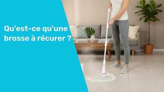 Qu'est-ce qu'une brosse à récurer ?