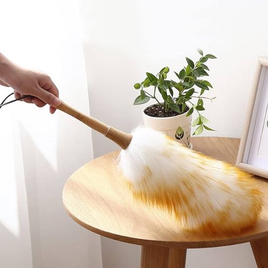 Plumeau Professionnel poignée ergonomique
