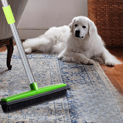 balayer poils chien avec balai en caoutchouc