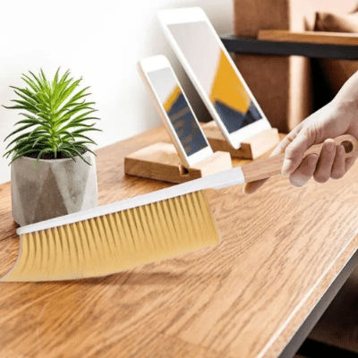 elle enleve poussière meuble salon