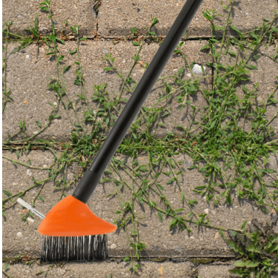 eliminer mauvaises herbes dalle brosse de desherbage