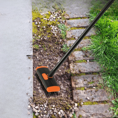 débarrasse mousses avec brosse de desherbage