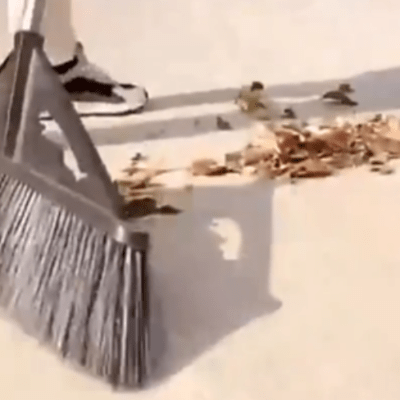 il balaye feuille balai brosse terrasse