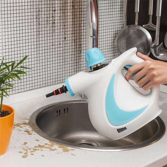 Nettoyeur vapeur à main Écologique bleu 