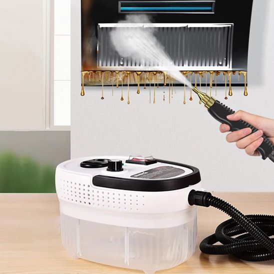 nettoyeur vapeur à main Écologique et désinfectant blanc 